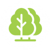 nb-arbres-e1527019414114