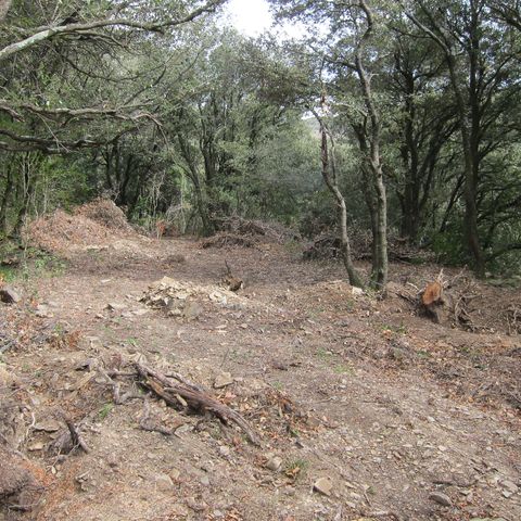 AFAF_zone5-preparation-des-plantations@EudelineMelet
