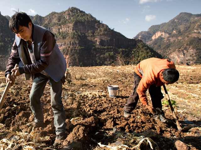 Soil working © PUR Projet - Christian Lamontagne