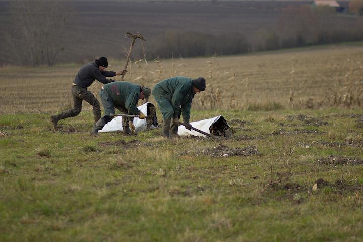 Equipes_planteurs_ONF_action