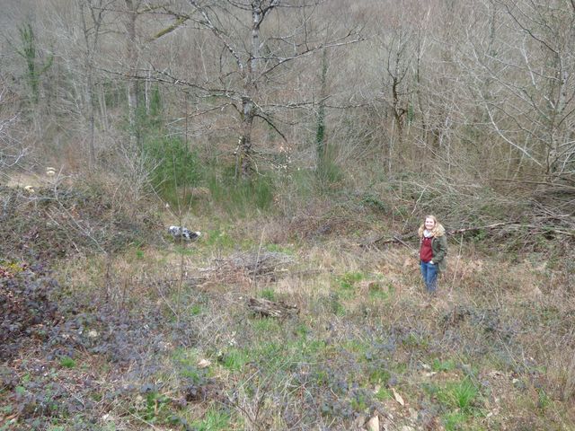Mathilde_technicienne_forestiere_alliance_forets_bois_accompagne_projet_Pepper_chien_resultat