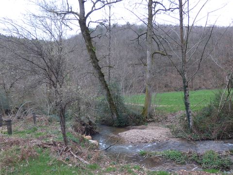 Riviere_passant_devant_plantation_tilleuls_ensuite_aulnes_resultat