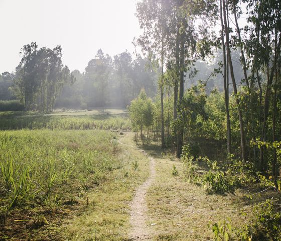 Sidama_episodepur_cc-35_resultat