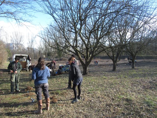 Classe d'apprenants en Brevet Professionnel Atelier de Production Horticole © EPLFPA Saint-Ismier_resultat