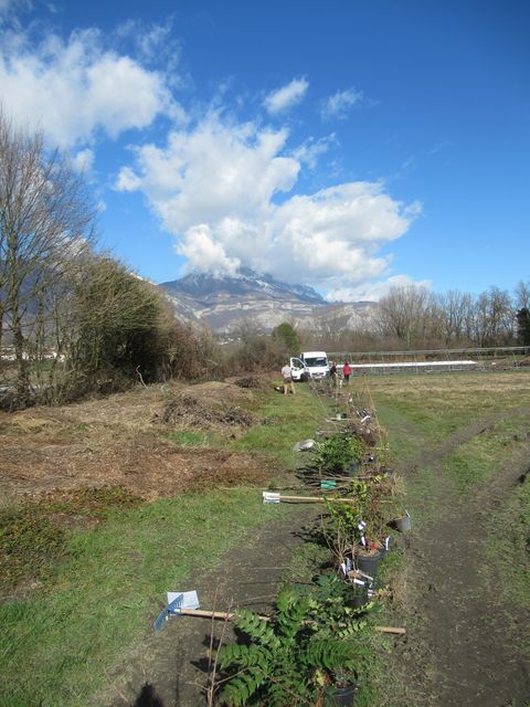 Plantation de haies © EPLFPA Saint-Ismier_resultat