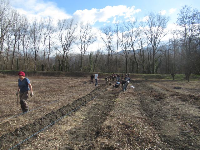 Plantation de porte-greffes I © EPLFPA Saint-Ismier_resultat