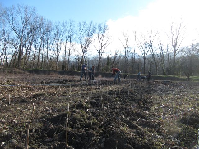 Plantation de porte-greffes © EPLFPA Saint-Ismier_resultat