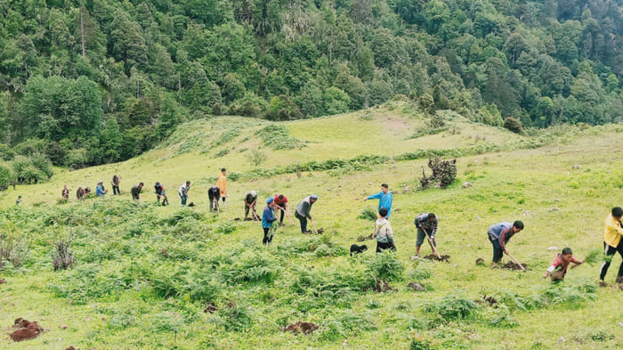 2020 planting day in Liming ©PUR Projet