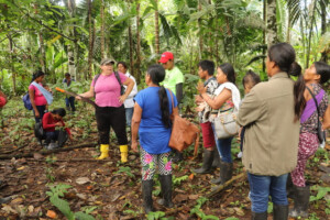 Suivi des parcelles des bénéficiaires en collectif par l’ONG locale Ishpingo, dans la communauté de Kachiwanuska ©Ishpingo