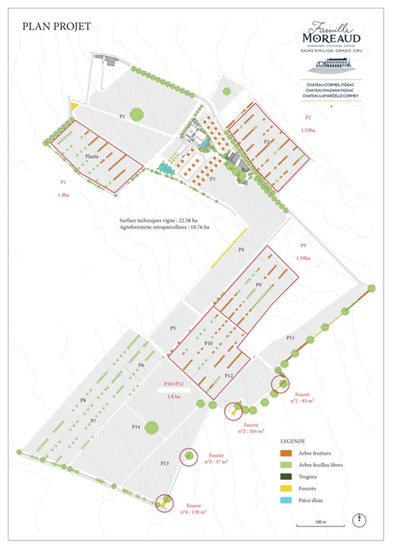 Map of tree planting on the project ©AFAF
