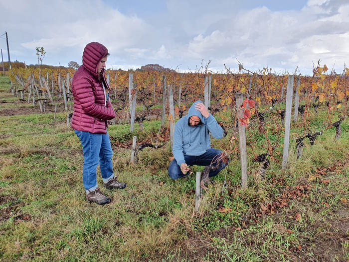 Visite des parcelles des domaines Cormeil à Saint Emilion ©AFAF