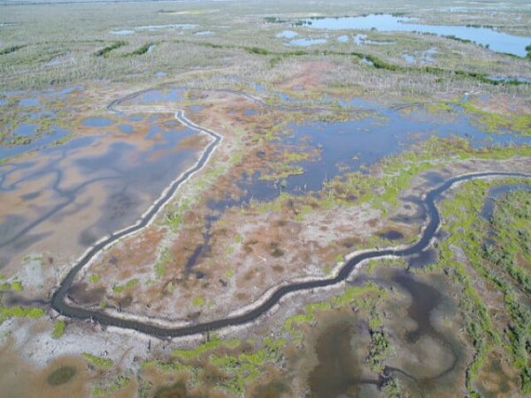 Aerial photo to illustrate the construction of the artificial canals and reforestation project © Humedales Sustentables A.C.