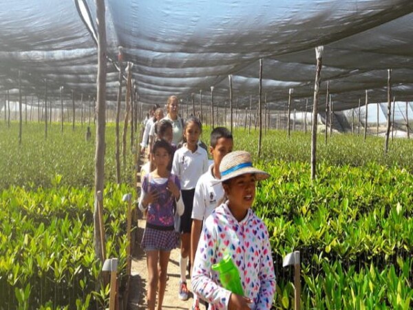 Plan field trips and visits for children from local schools to raise their awareness © Humedales Sustentables A.C.