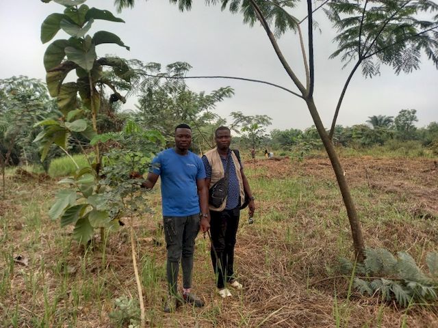 Follow-up and maintenance visit of the trees planted with the beneficiaries ©APAF Togo
