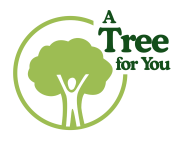 A TREE FOR YOU