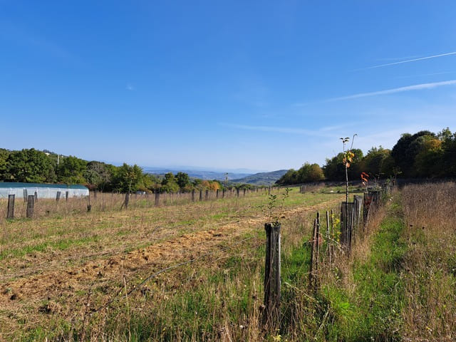 Photo Marion Soum 10 2024 (6)