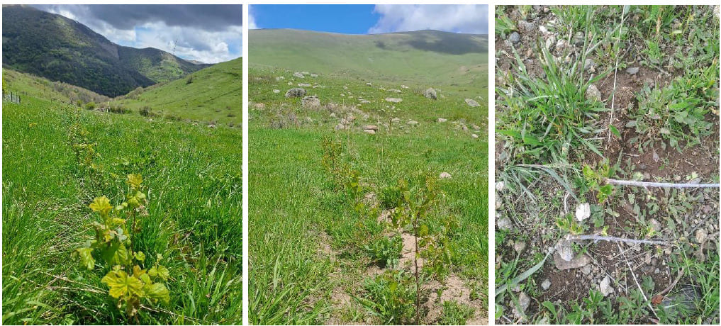 Capture d’écran 2025-10-28 084230