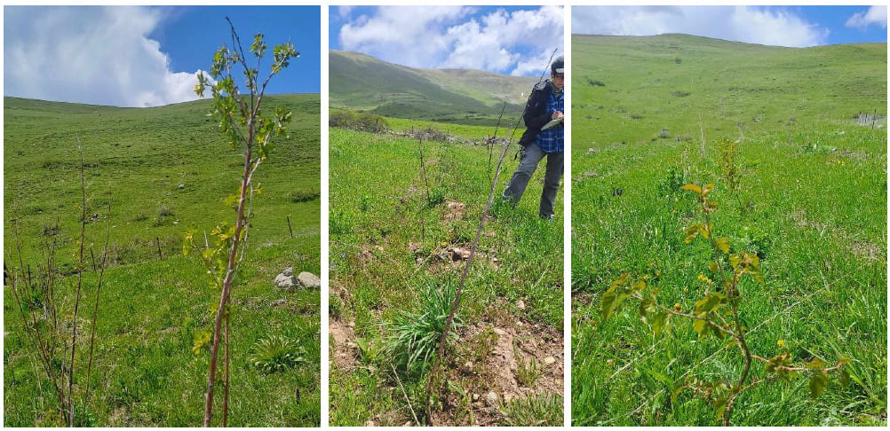 Capture d’écran 2025-10-28 084312