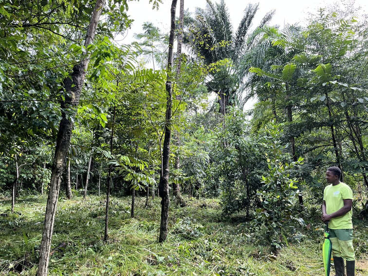 Chez LAF Guyane-rangs sur vega 1 avec Moise Castor LAF-credit ATFY