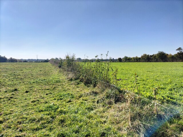 Suivi 2025 Launay (1)