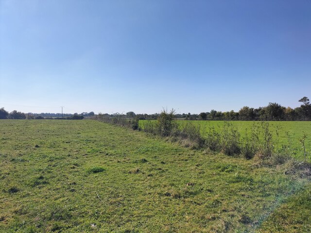 Suivi 2025 Launay (15)