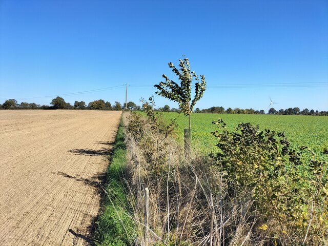 Suivi 2025 Launay (8)