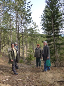 In Lozère, the melliferous forest comes to life for the black bee