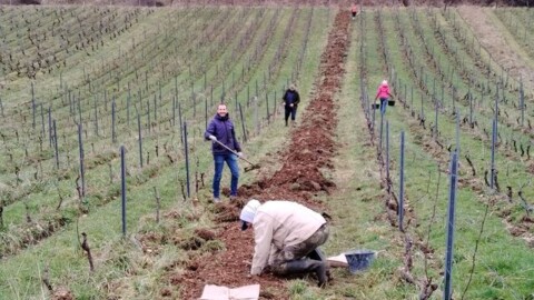 Plantations effectuées au cours de l'hiver 2024-2025 ©La Cuverie
