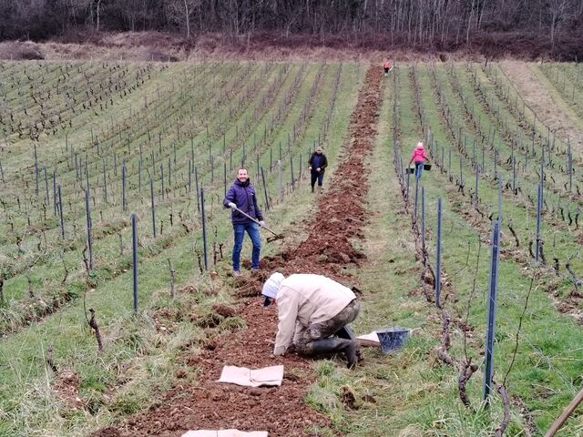 Plantations effectuées au cours de l'hiver 2024-2025 ©La Cuverie