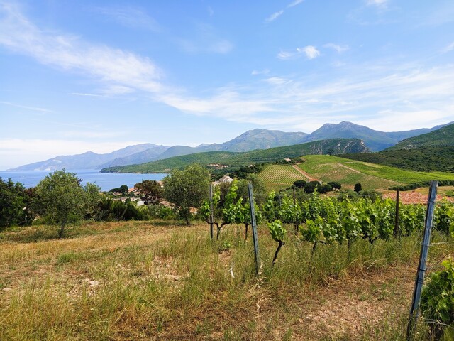 View from the Orenga de Gaffory estate ©ERA